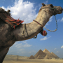 kamel-pyramiden.jpg